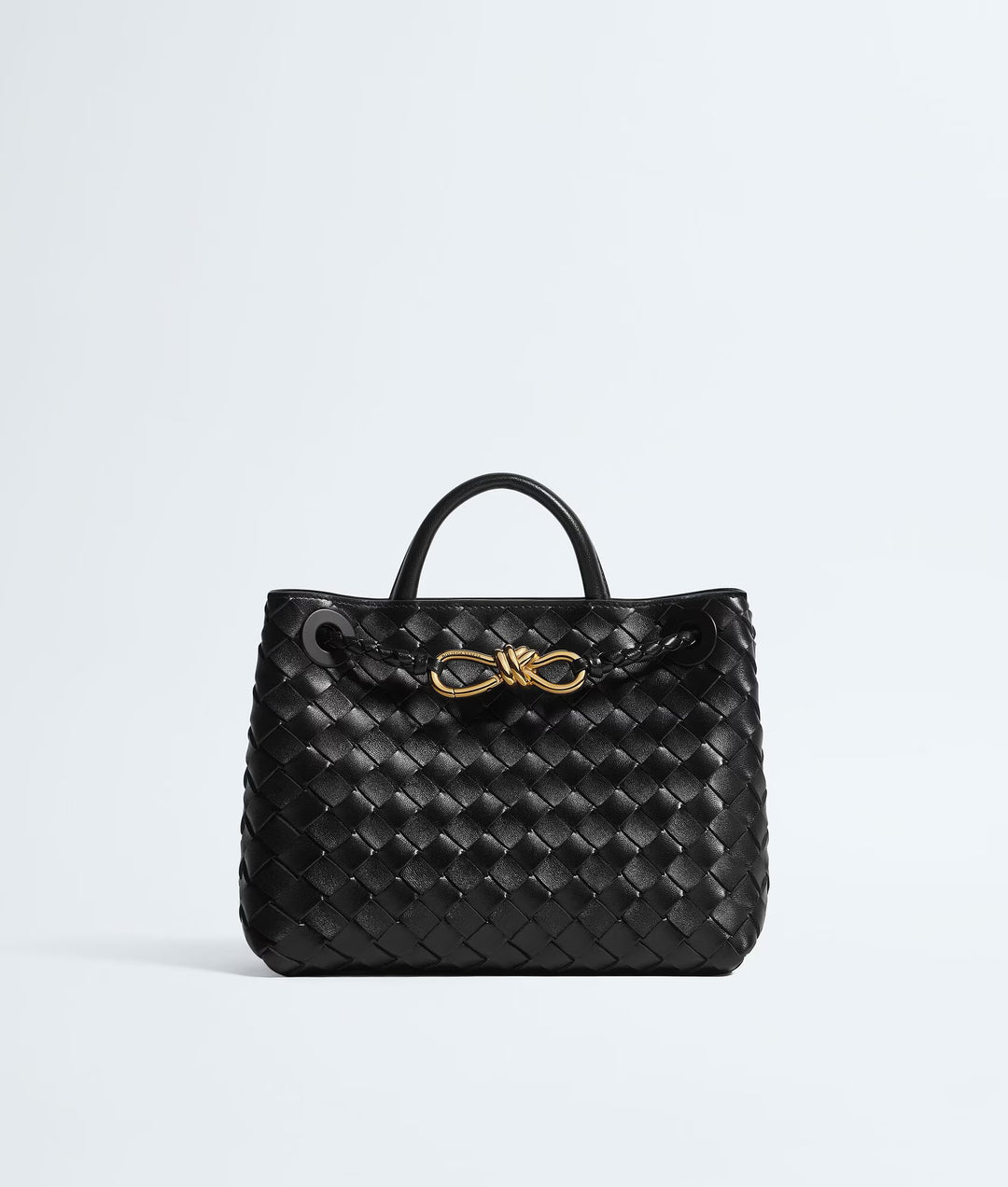 BOTTEGA VENETA ANDIAMO PETIT FORMAT
