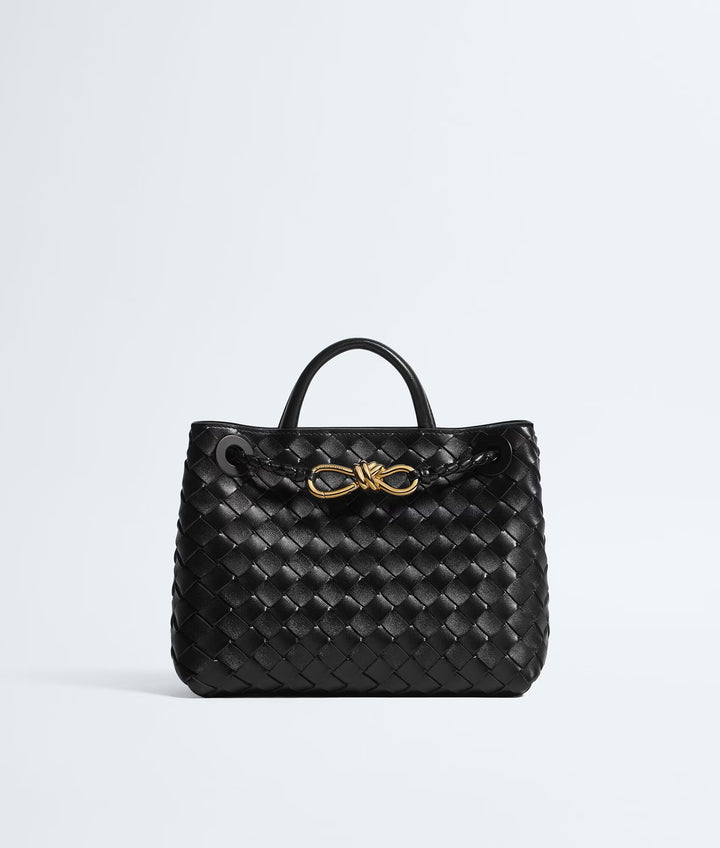 BOTTEGA VENETA ANDIAMO PETIT FORMAT