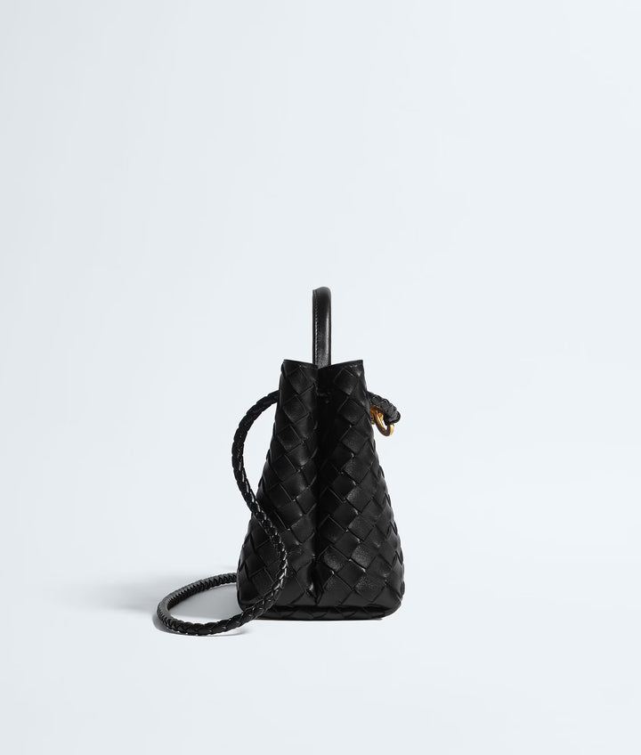 BOTTEGA VENETA ANDIAMO PETIT FORMAT