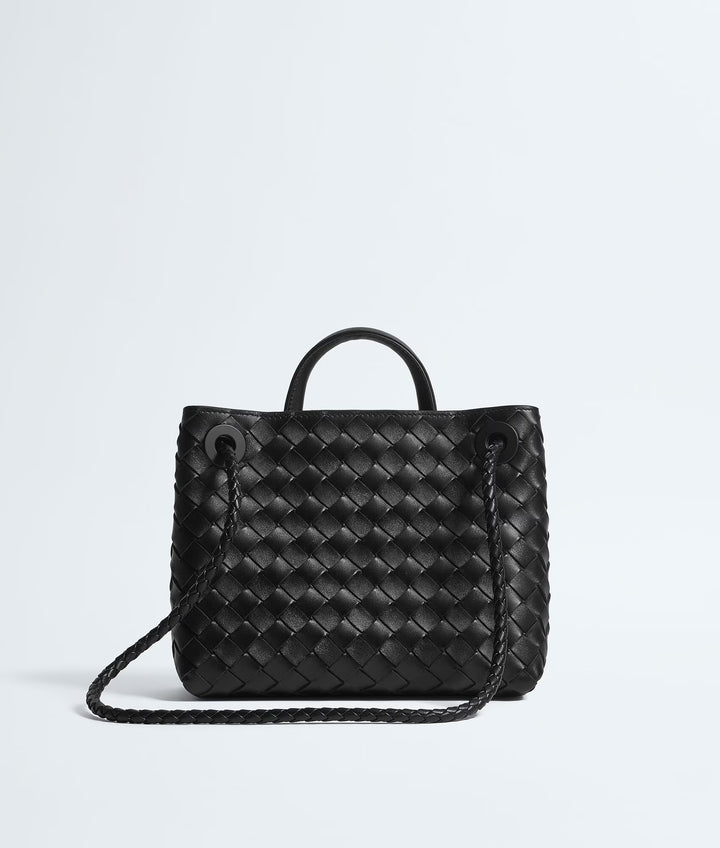BOTTEGA VENETA ANDIAMO PETIT FORMAT