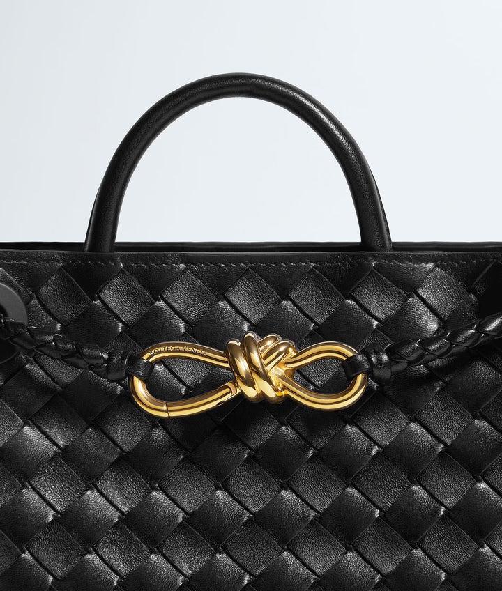 BOTTEGA VENETA ANDIAMO PETIT FORMAT